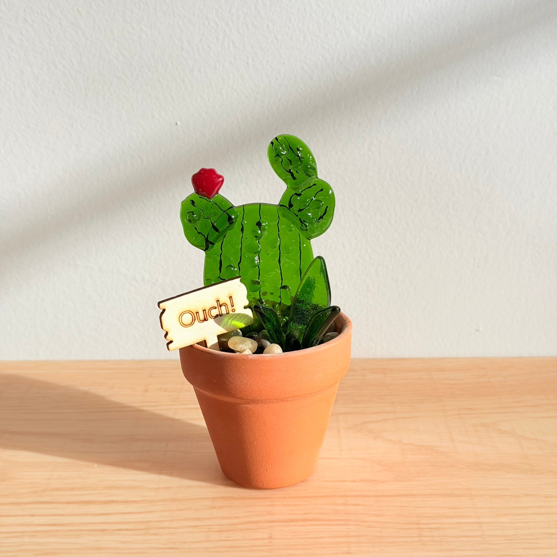Cactus petit pot