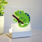 Veilleuse - CAMELEON