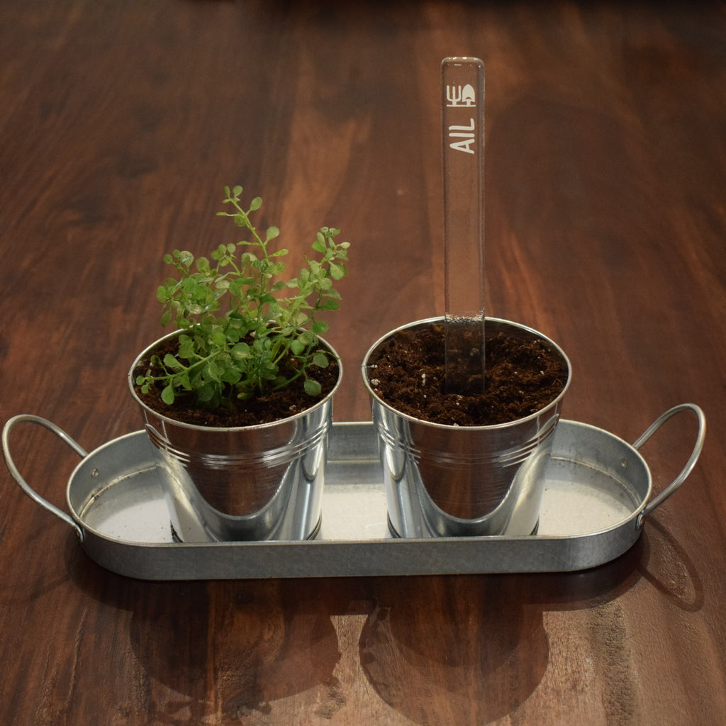 Marqueur de potager - FINE HERBE