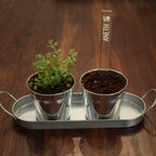 Marqueur de potager - FINE HERBE