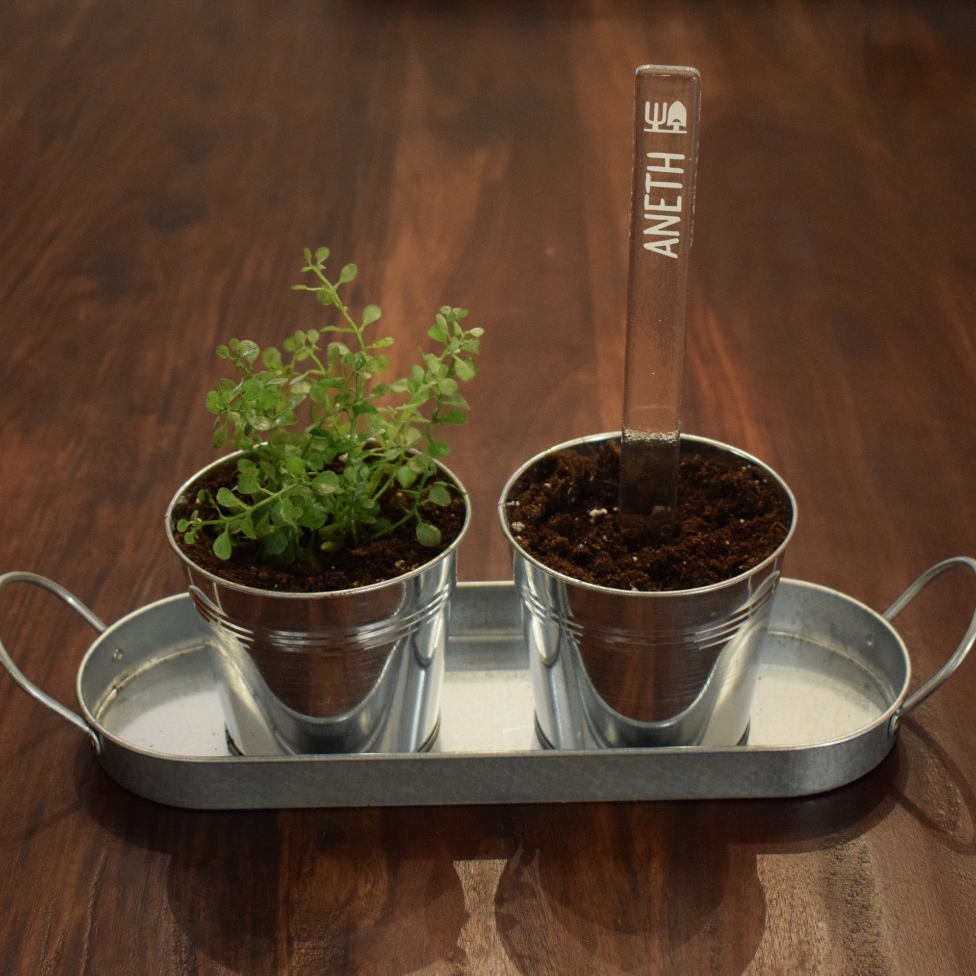 Marqueur de potager - FINE HERBE