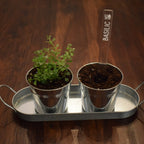 Marqueur de potager - FINE HERBE