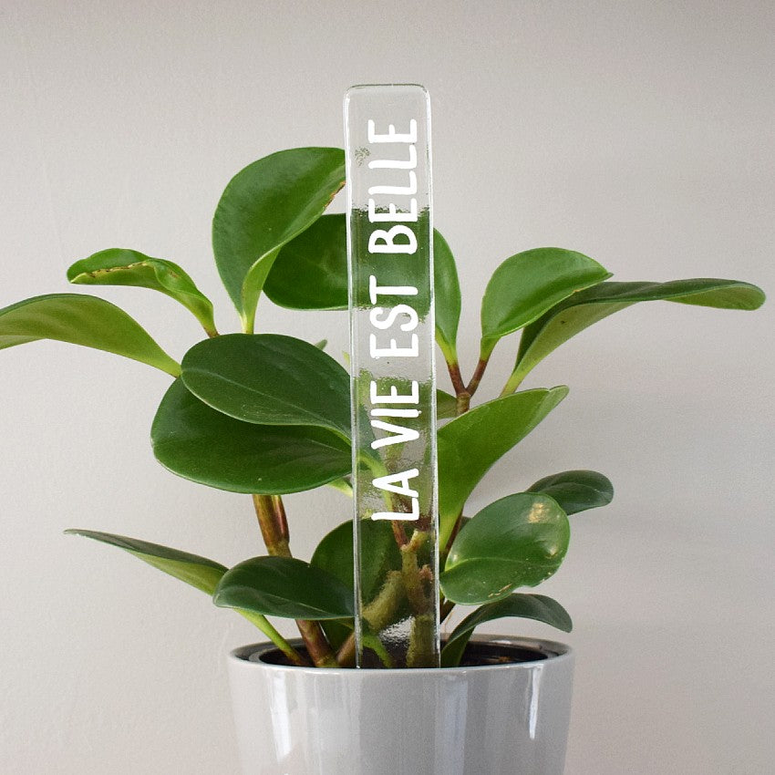 Marqueur d'inspiration - La vie est belle