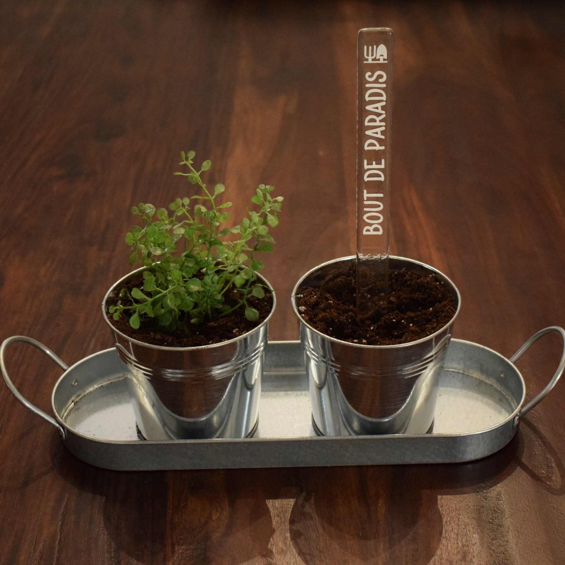 Marqueur de potager - LÉGUME