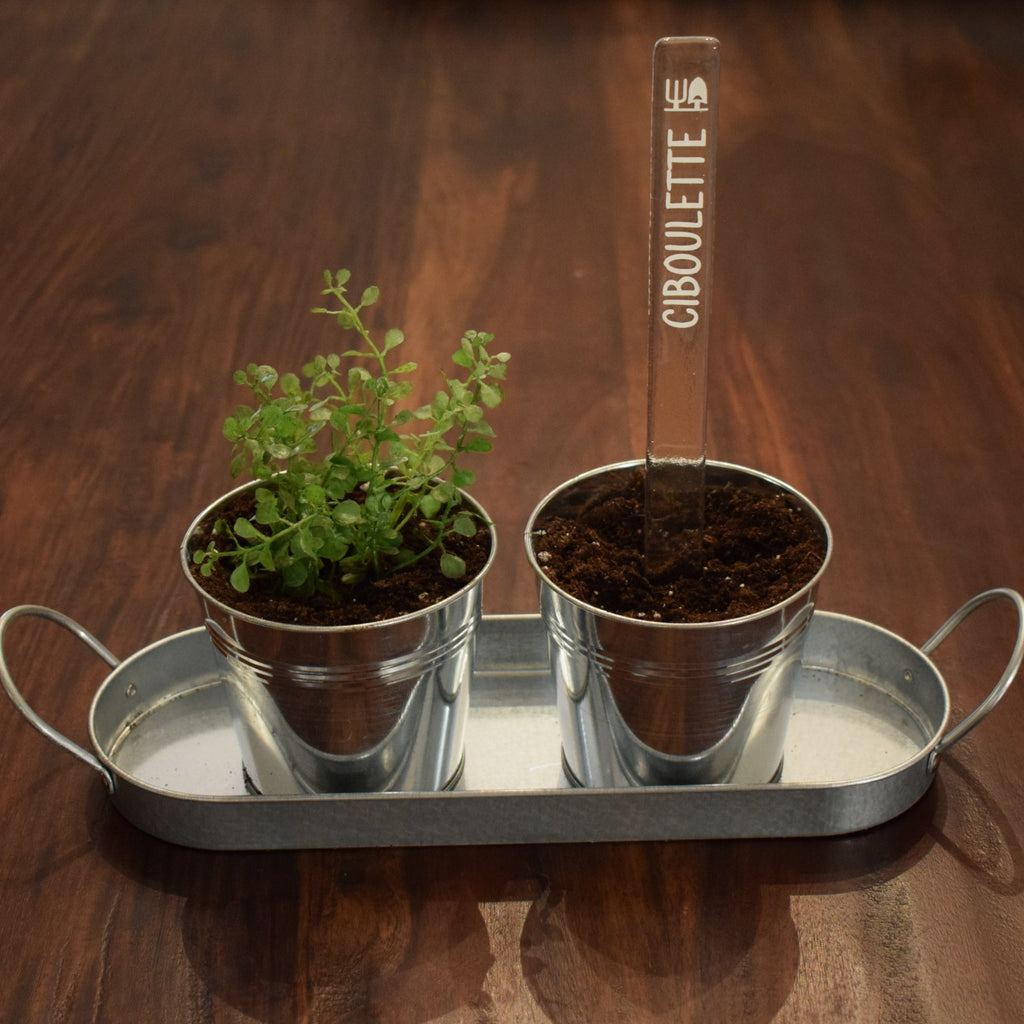 Marqueur de potager - FINE HERBE