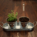 Marqueur de potager - LÉGUME