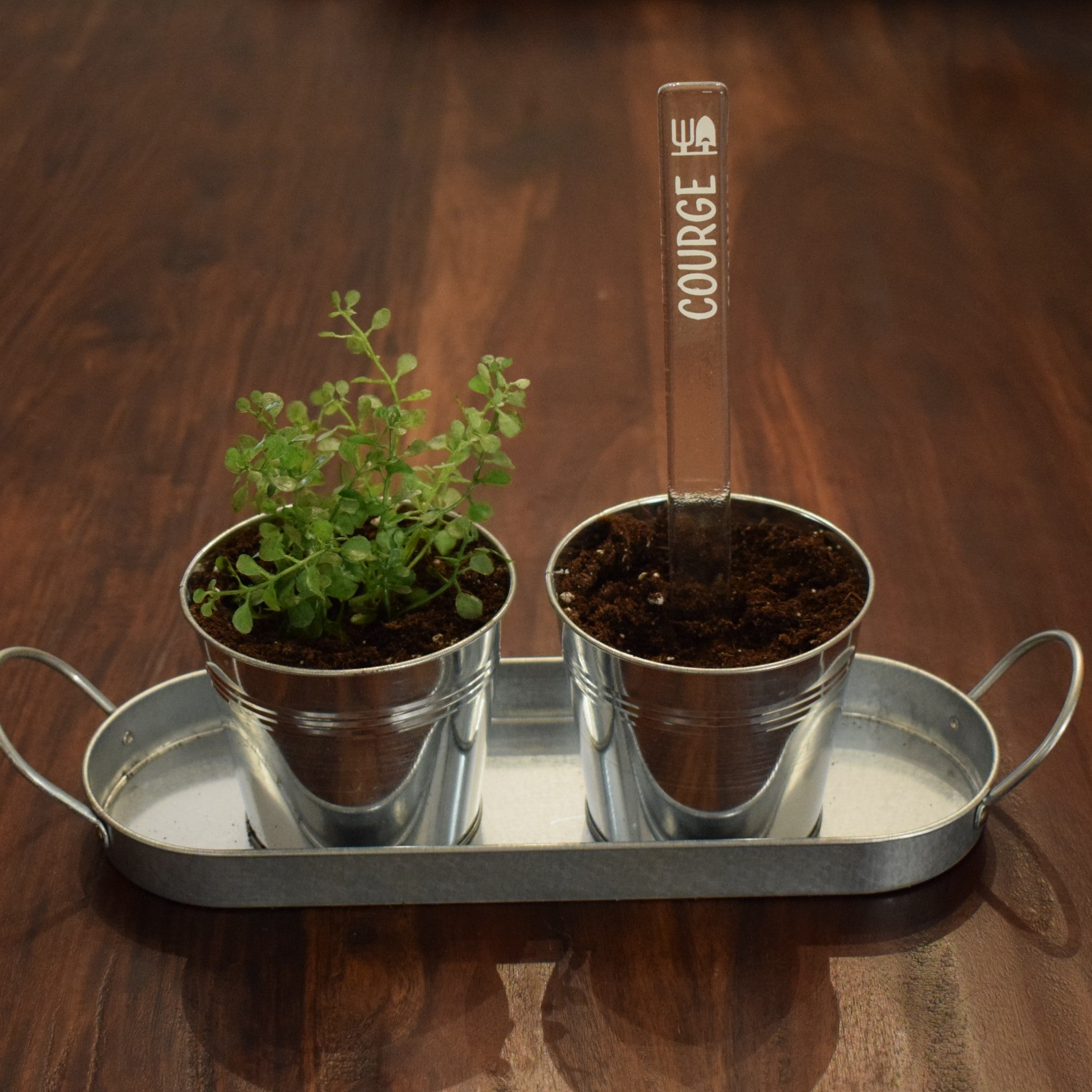 Marqueur de potager - LÉGUME