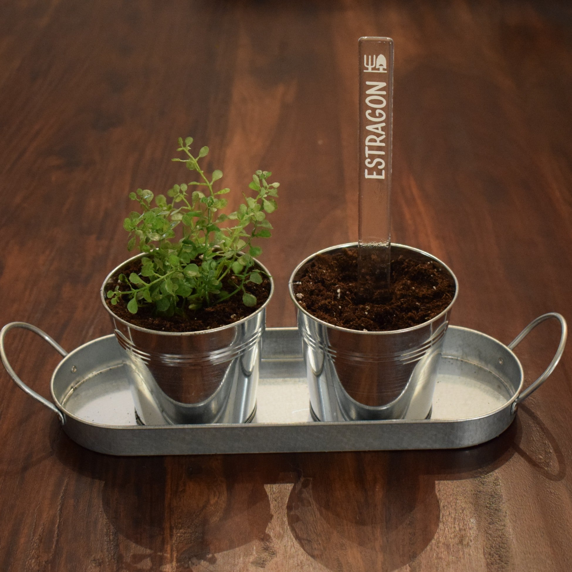 Marqueur de potager - FINE HERBE