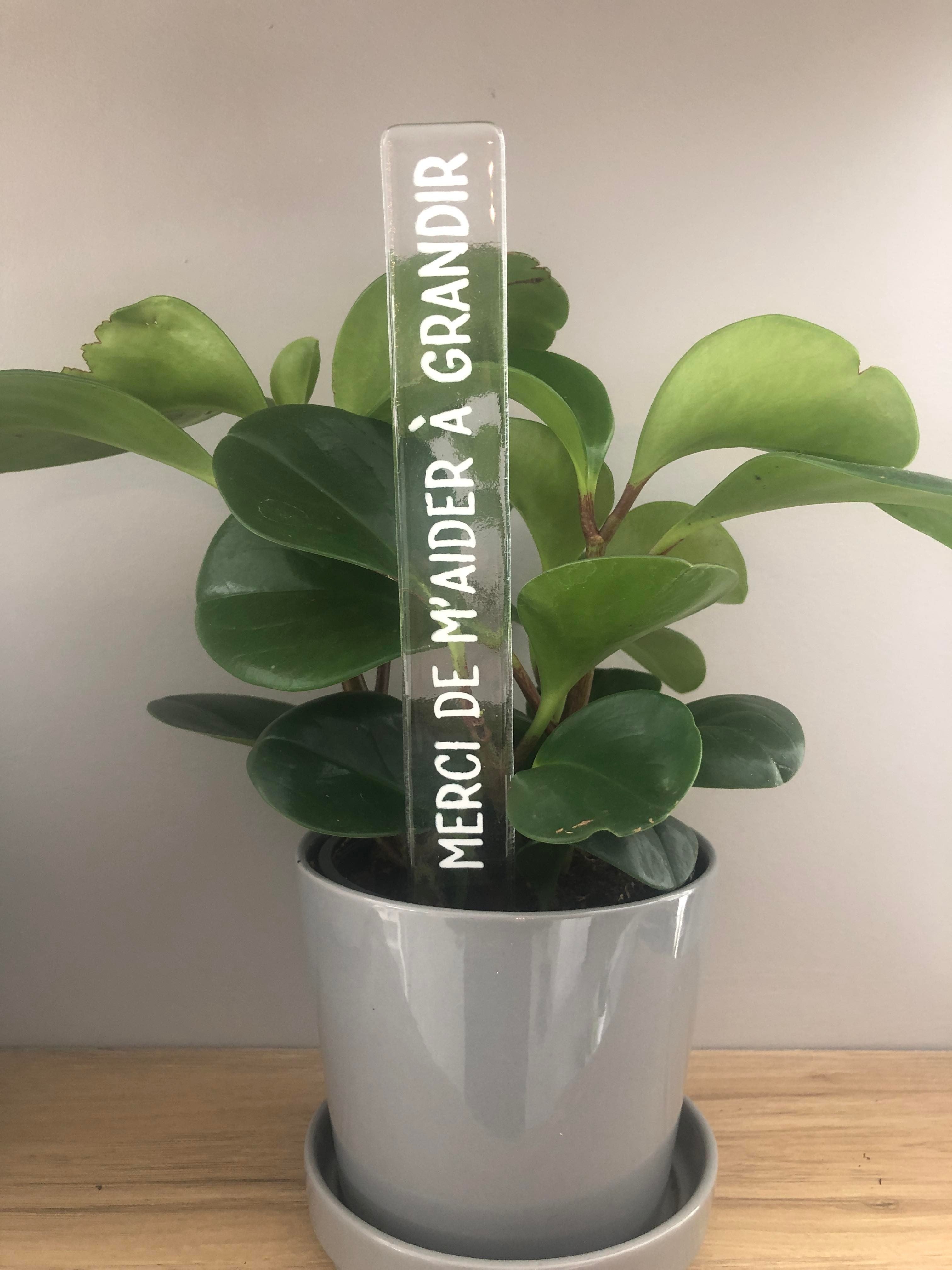 Marqueur d'inspiration - Merci de m'aider à grandir