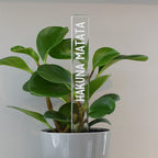 Marqueur d'inspiration - Hakuna matata