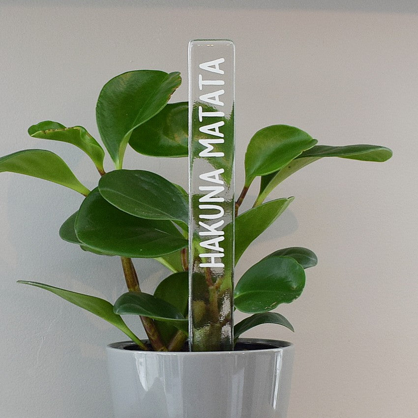 Marqueur d'inspiration - Hakuna matata