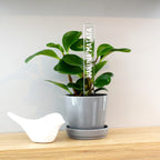 Marqueur d'inspiration - Hakuna matata