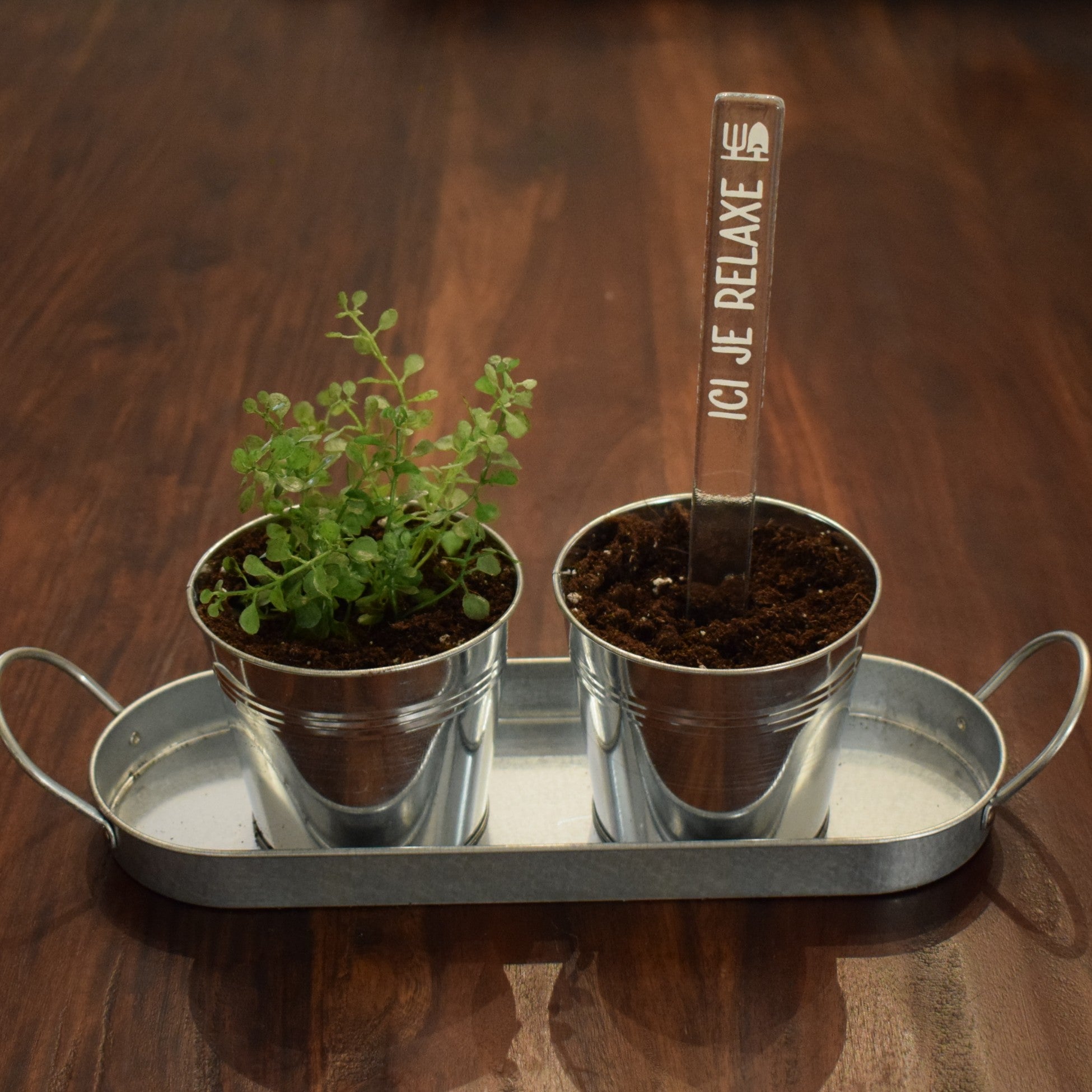 Marqueur de potager - LÉGUME