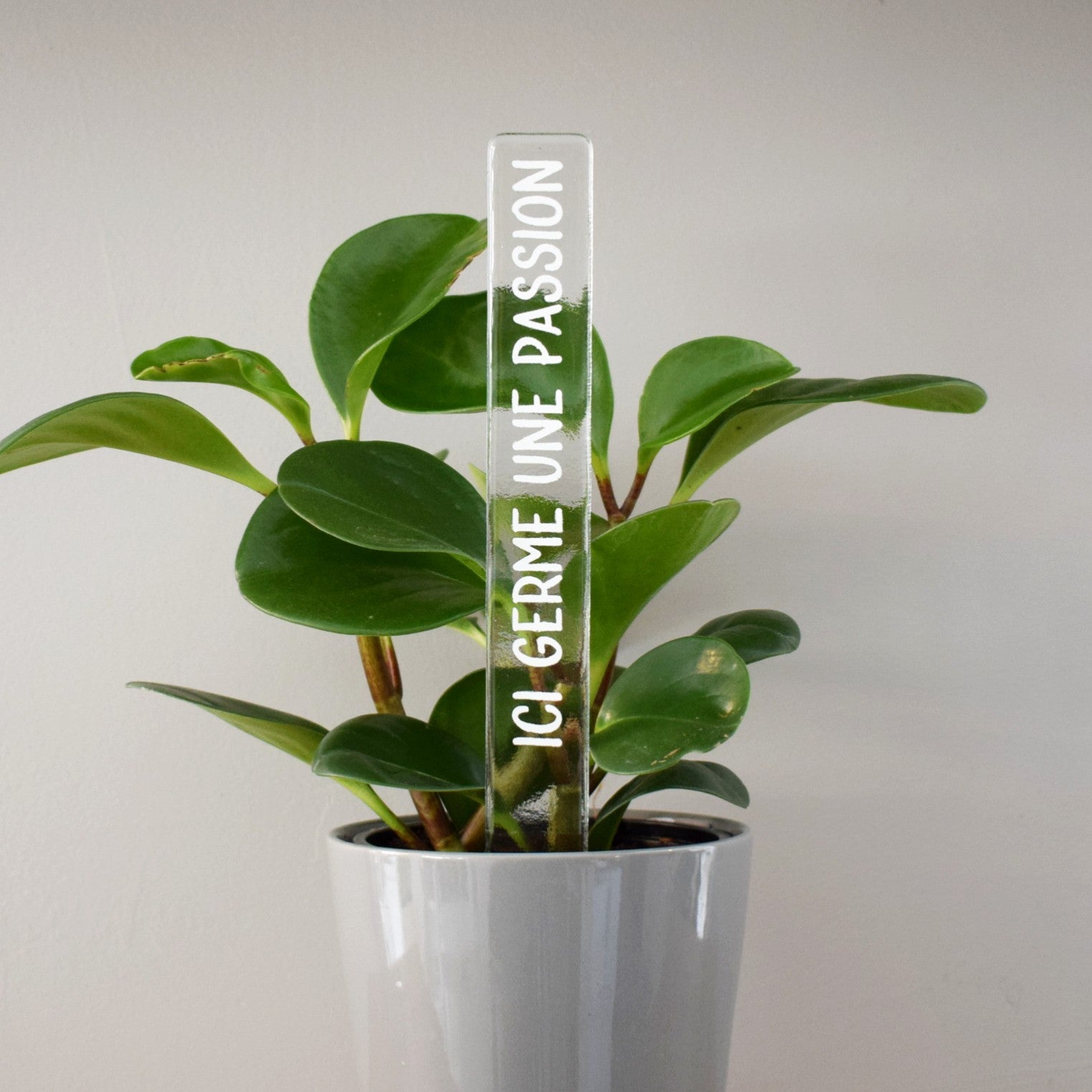 Marqueur d'inspiration - Ici germe une passion