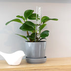 Marqueur d'inspiration - Ici germe une passion