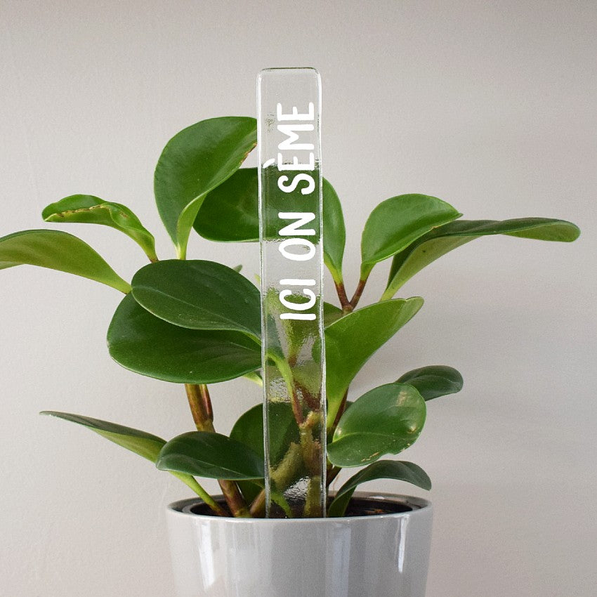 Marqueur d'inspiration - Ici on sème