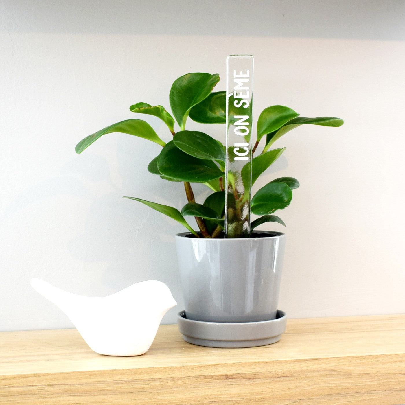 Marqueur d'inspiration - Ici on sème