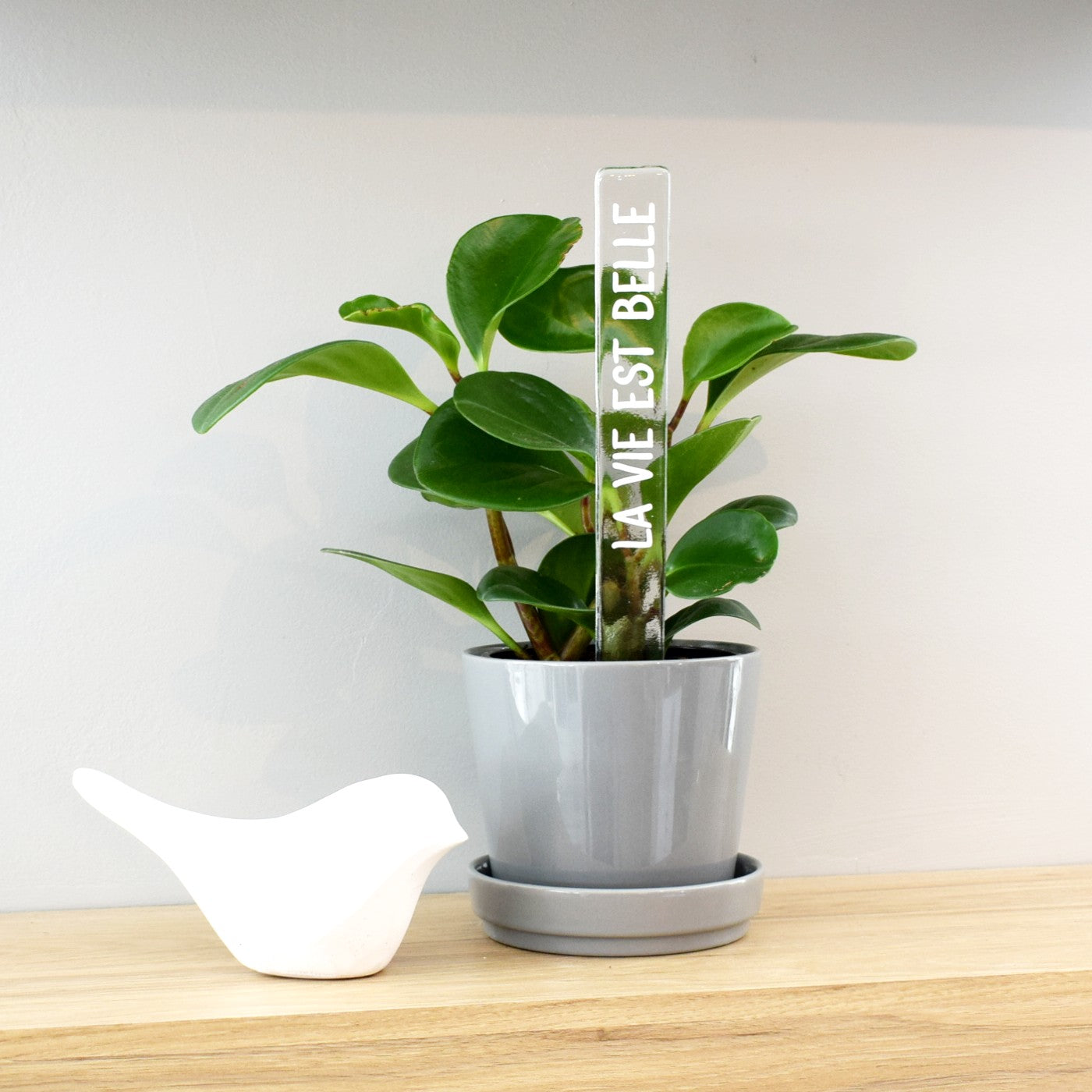 Marqueur d'inspiration - La vie est belle