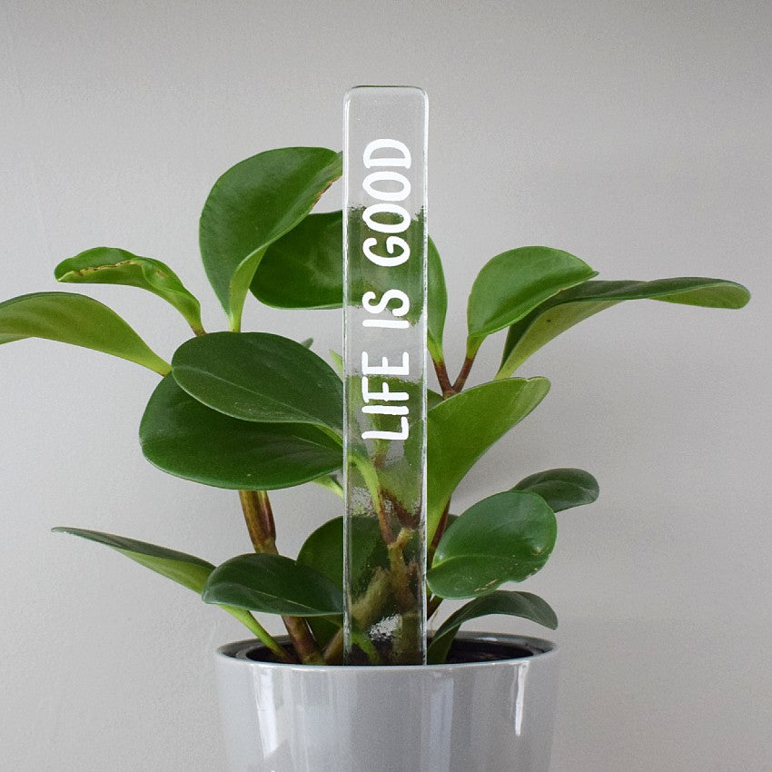 Marqueur d'inspiration - Life is good