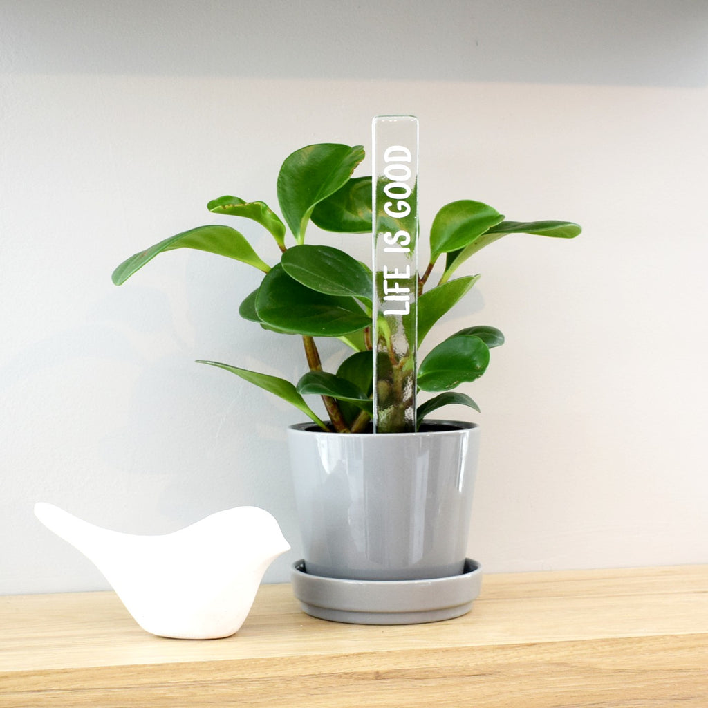 Marqueur d'inspiration - Life is good