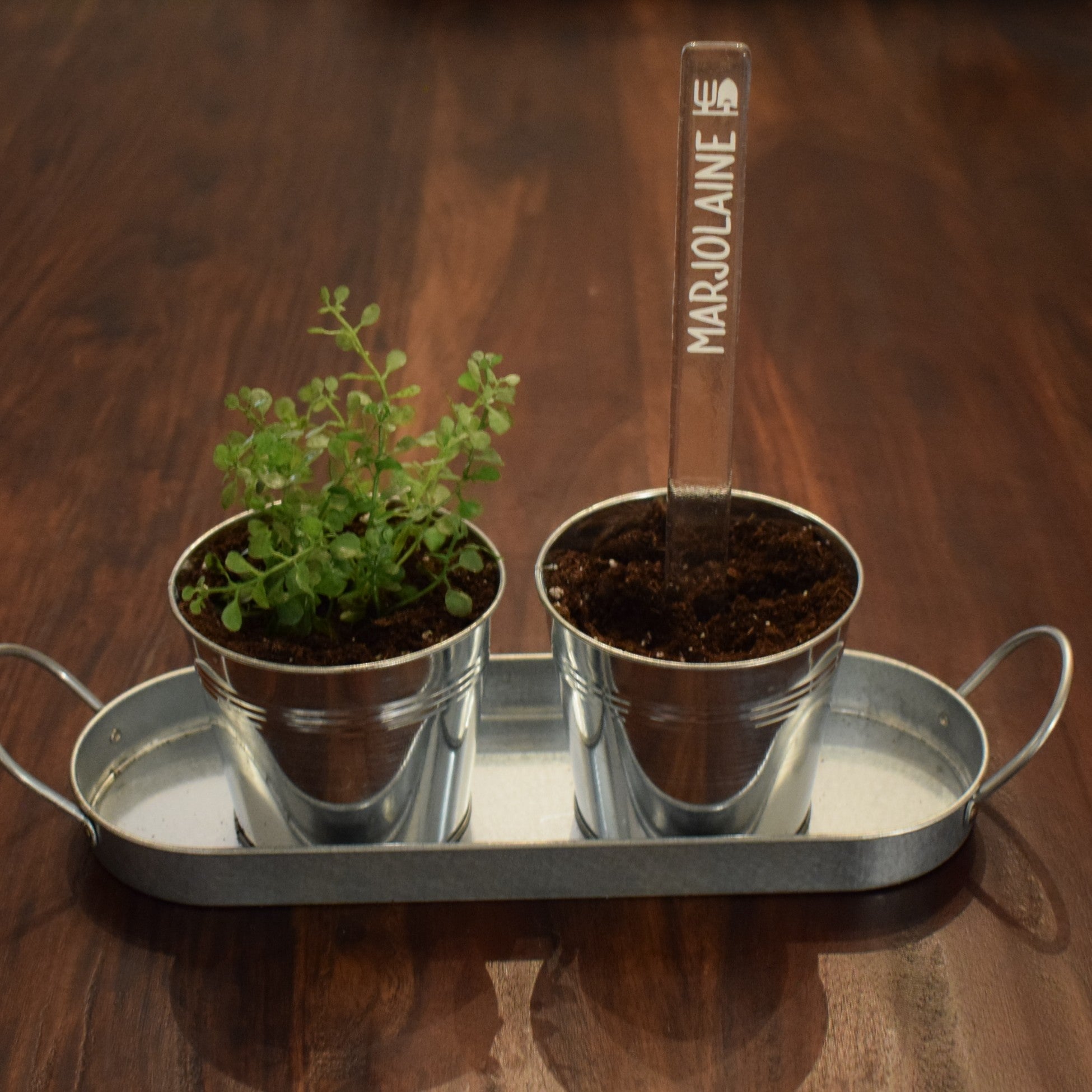 Marqueur de potager - FINE HERBE