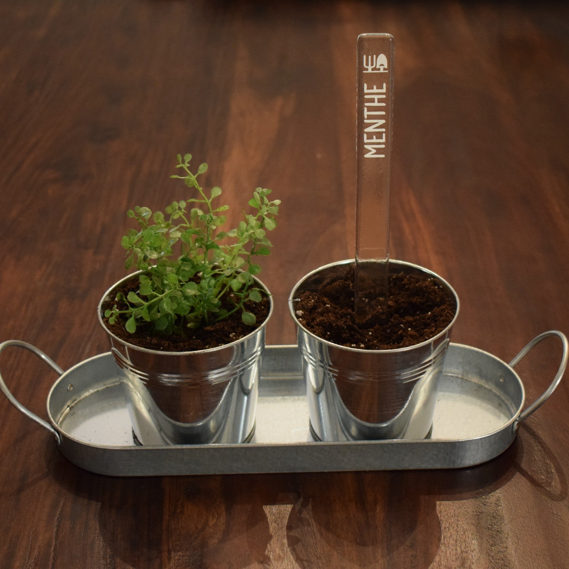 Marqueur de potager - FINE HERBE