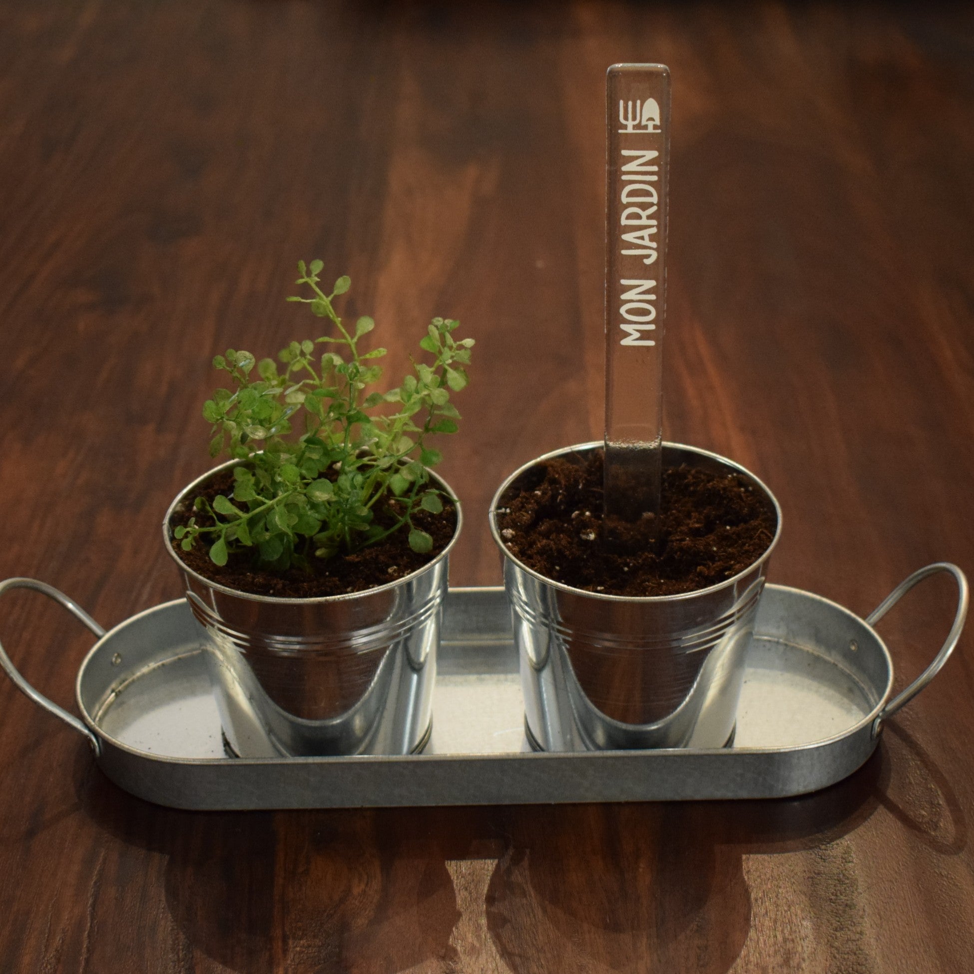 Marqueur de potager - LÉGUME