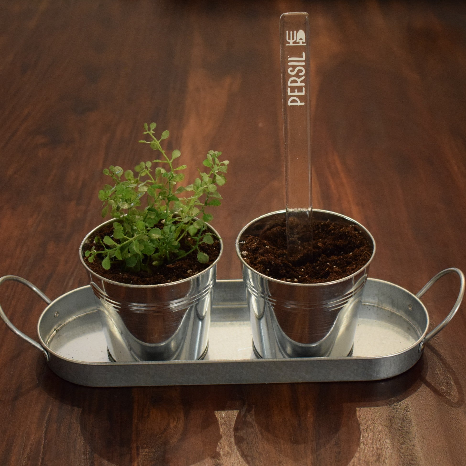 Marqueur de potager - FINE HERBE