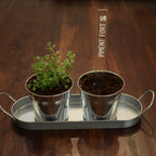 Marqueur de potager - FINE HERBE