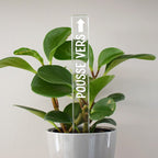 Marqueur d'inspiration - Pousse vers