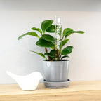 Marqueur d'inspiration - Pousse vers