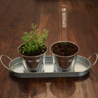 Marqueur de potager - FINE HERBE