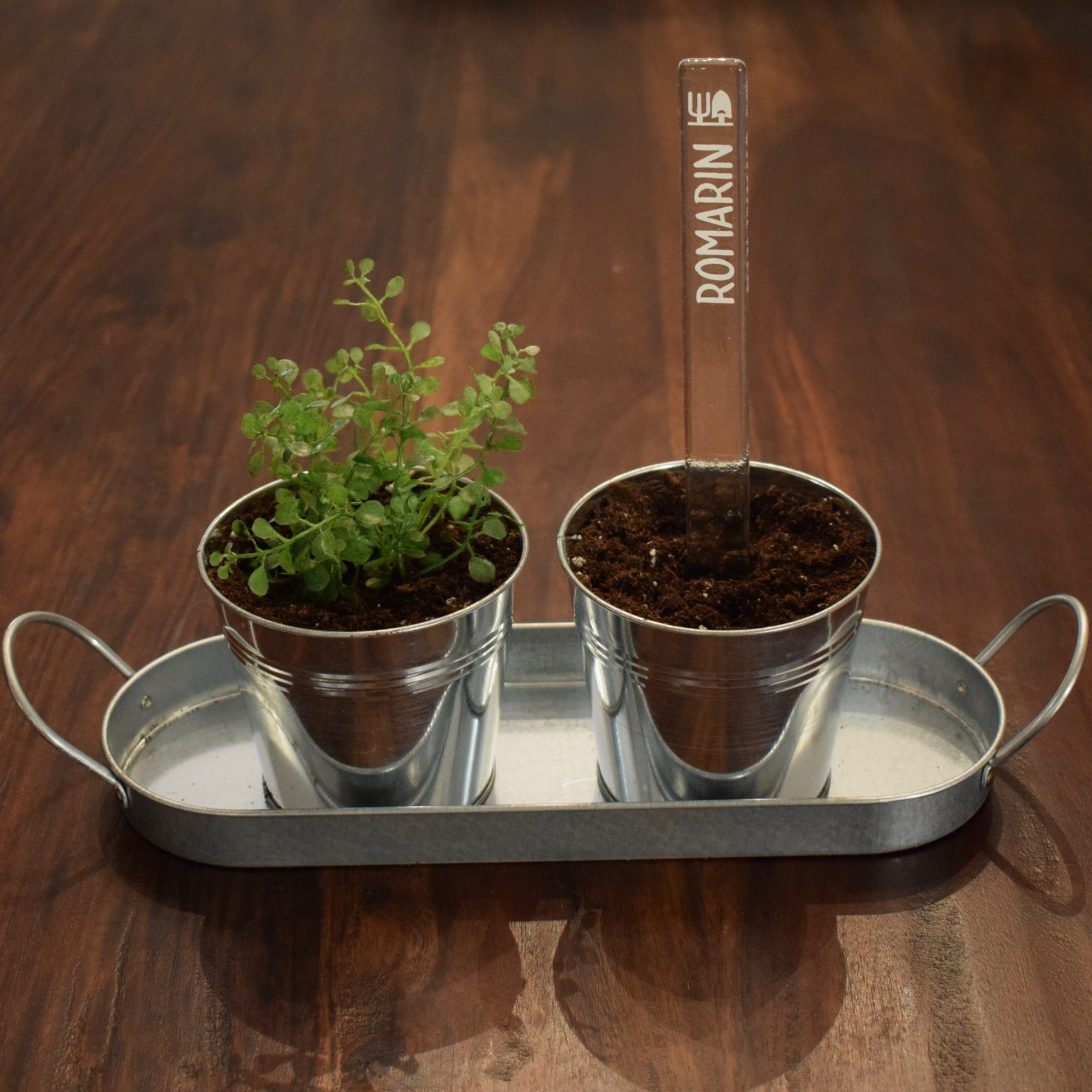 Marqueur de potager - FINE HERBE