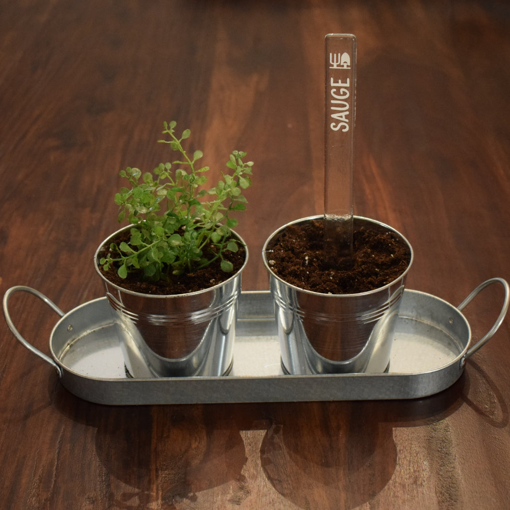 Marqueur de potager - FINE HERBE