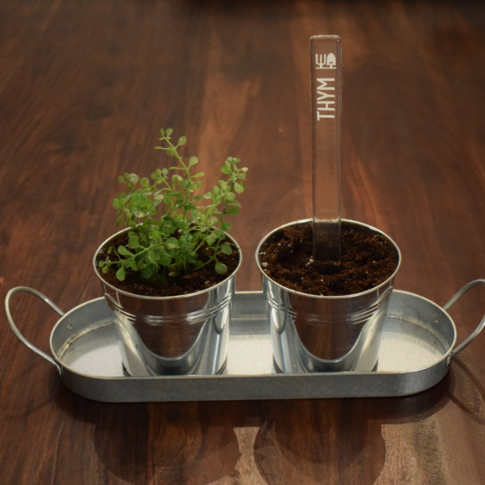 Marqueur de potager - FINE HERBE